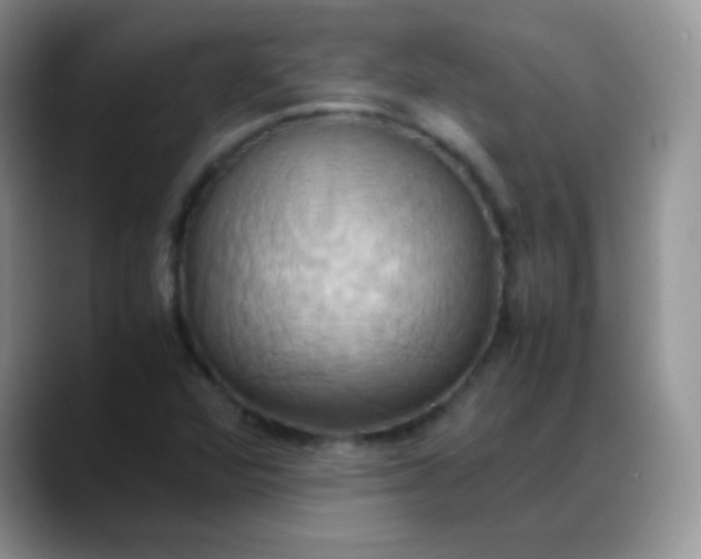 X0000088211360200705292044