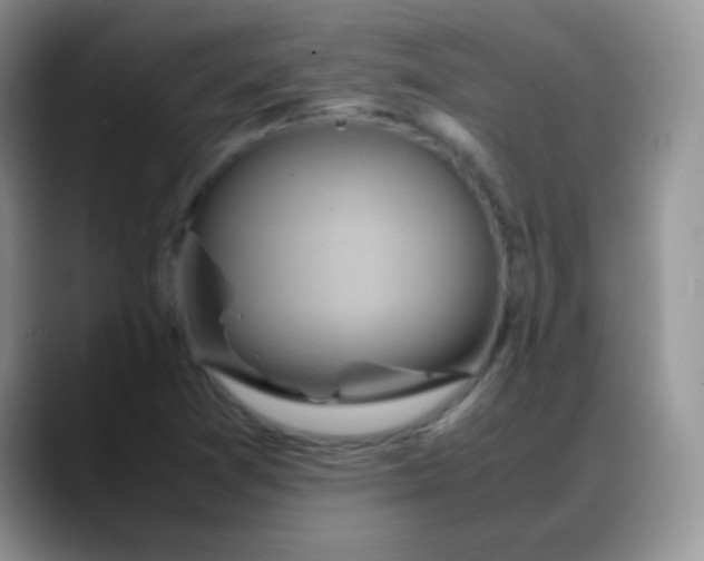 X0000088211361200705292044
