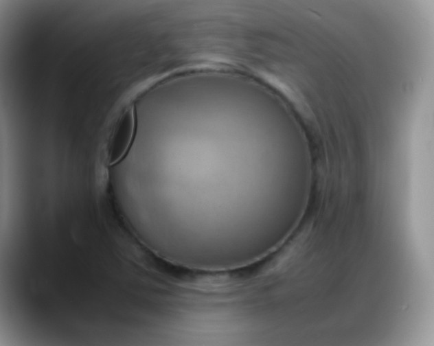 X0000088211363200705292044