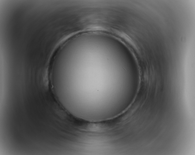 X0000088211364200705292044