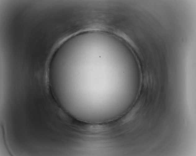 X0000088211366200705292044