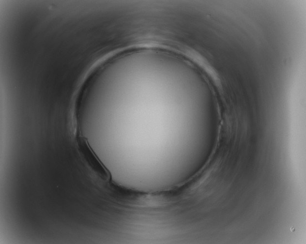 X0000088211368200705292044