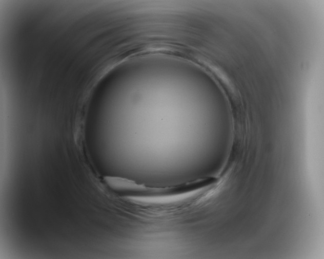 X0000088211369200705292044