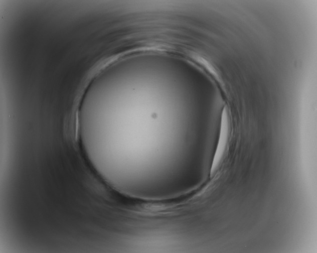 X0000088211371200705292044
