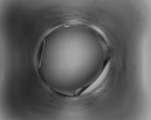X0000088211373200705292044