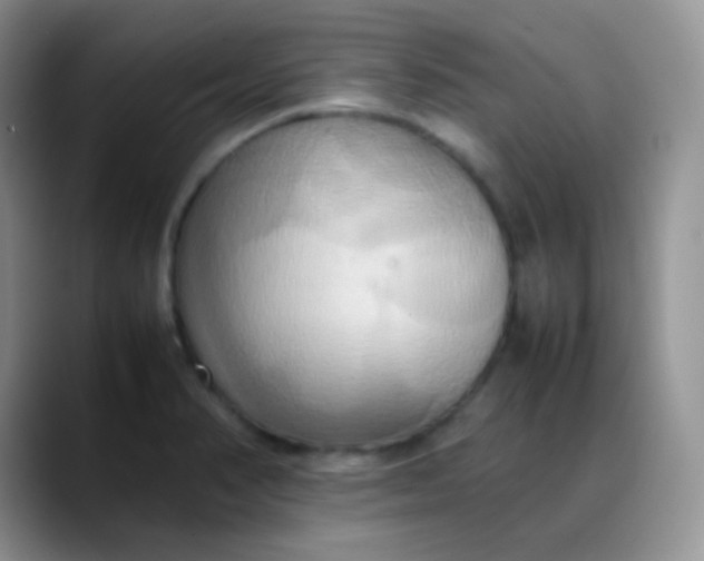 X0000088211374200705292044
