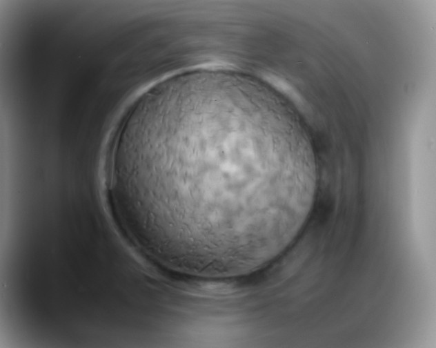 X0000088211375200705292044