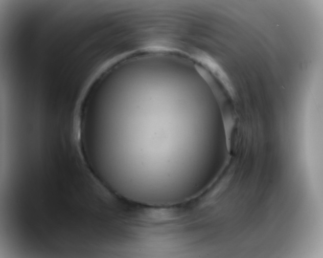 X0000088211376200705292044