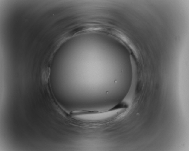 X0000088211377200705292044
