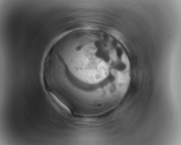 X0000088211379200705292044