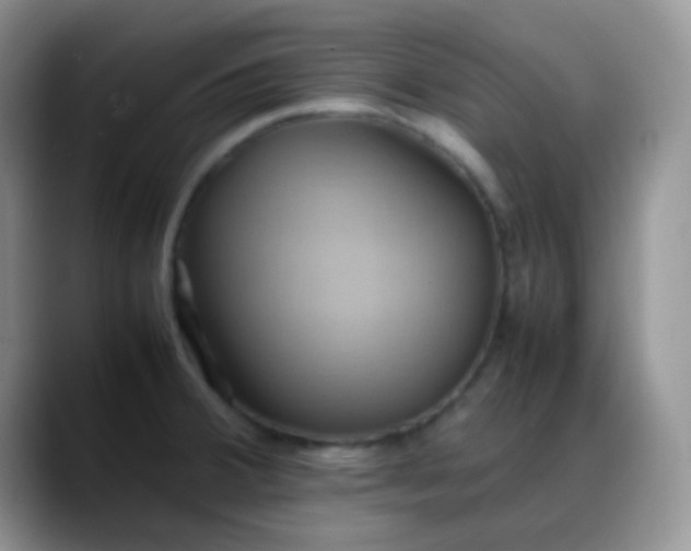 X0000088211380200705292044