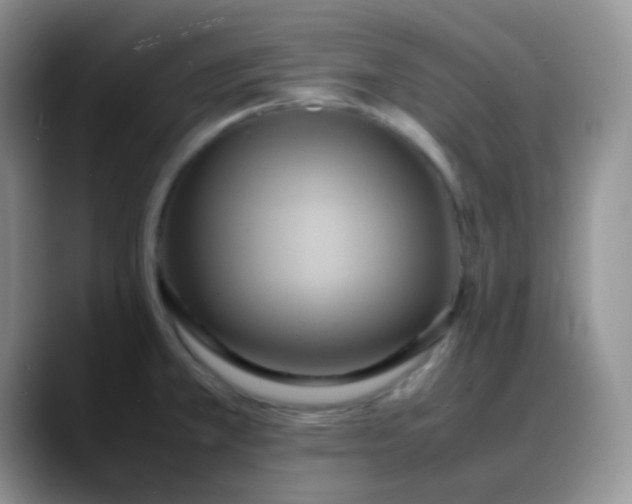 X0000088211381200705292044
