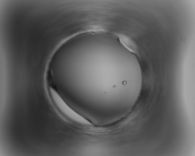 X0000088211383200705292044