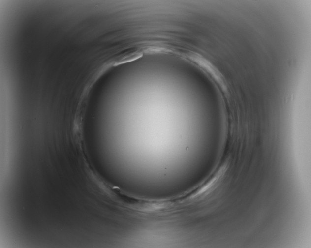 X0000088211385200705292044