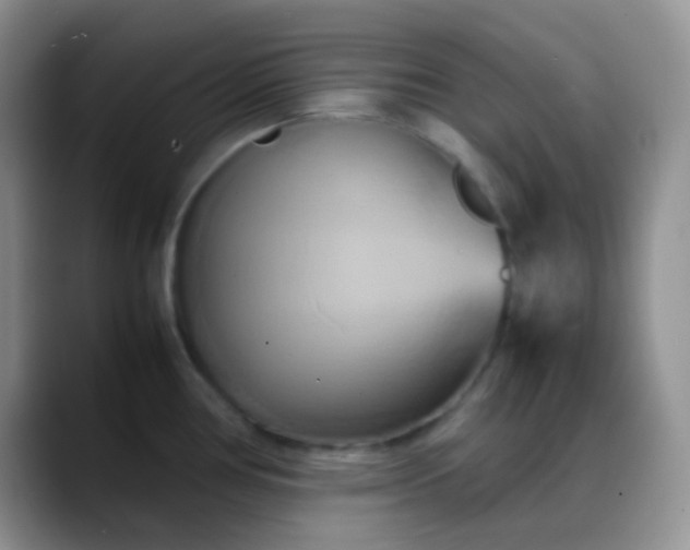 X0000088211386200705292044