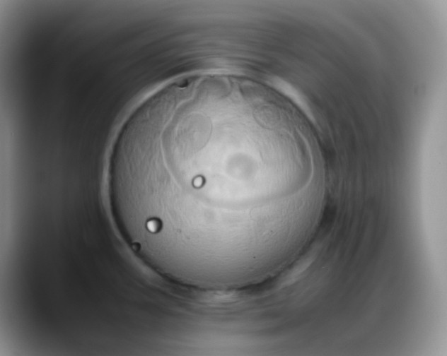 X0000088211387200705292044