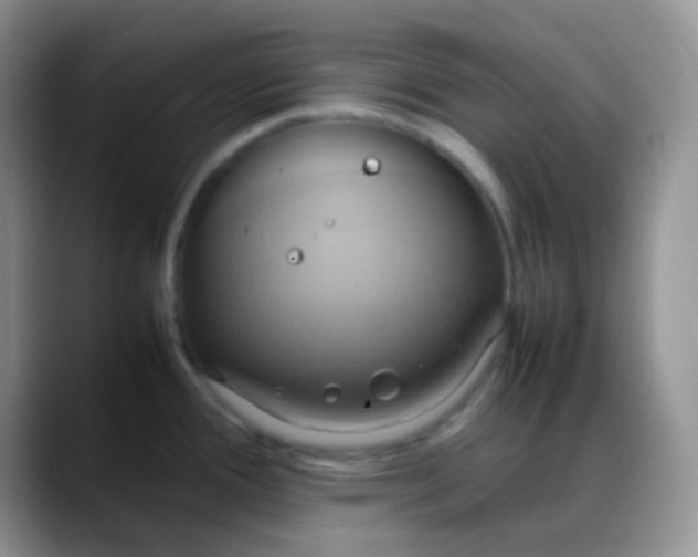 X0000088211388200705292044