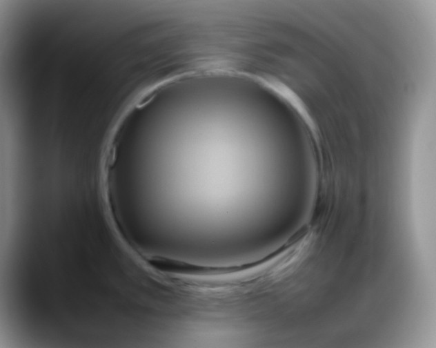 X0000088211389200705292044