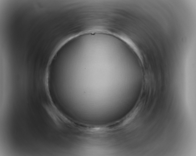 X0000088211390200705292044