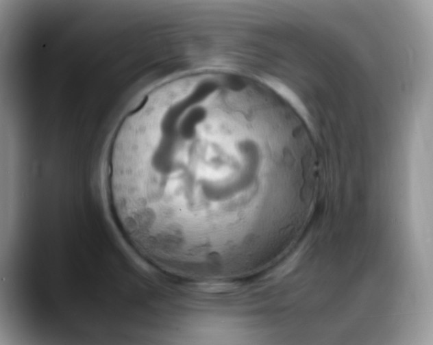 X0000088211391200705292044
