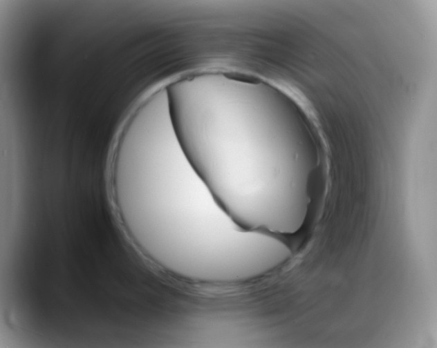 X0000088211392200705292044
