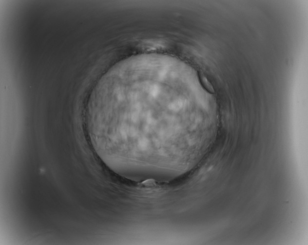 X0000088211393200705292043