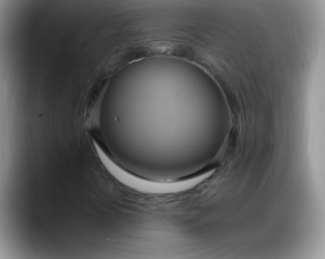 X0000088211394200705292043