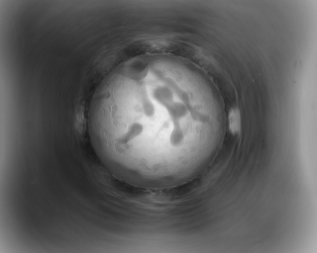 X0000088211395200705292043