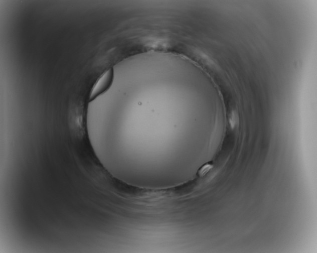 X0000088211396200705292043