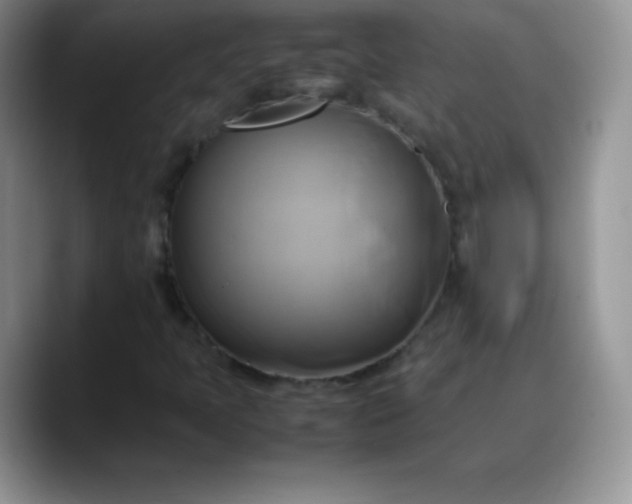 X0000088211397200705292043