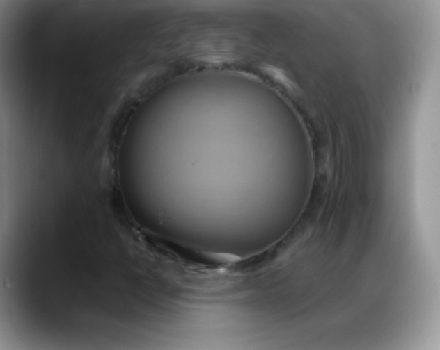 X0000088211398200705292043