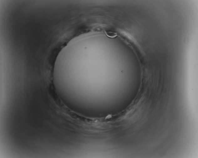 X0000088211399200705292043