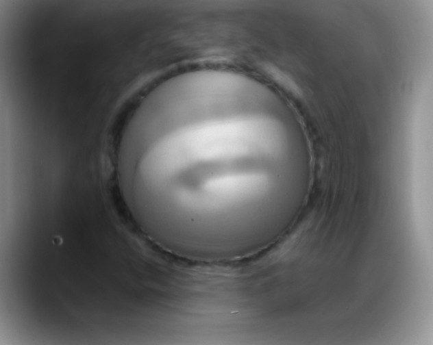 X0000088211400200705292043