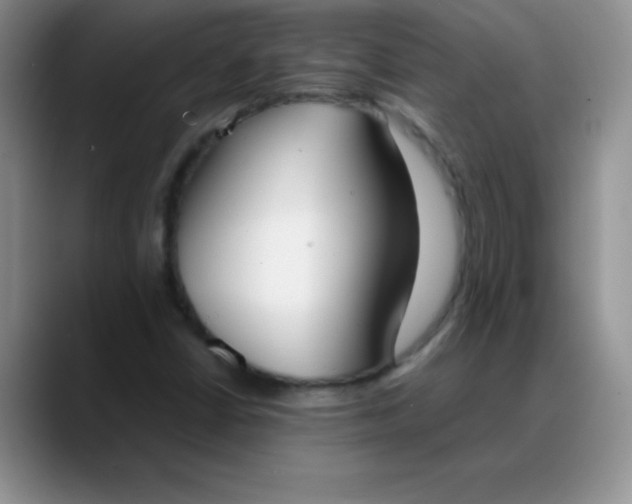 X0000088211402200705292043
