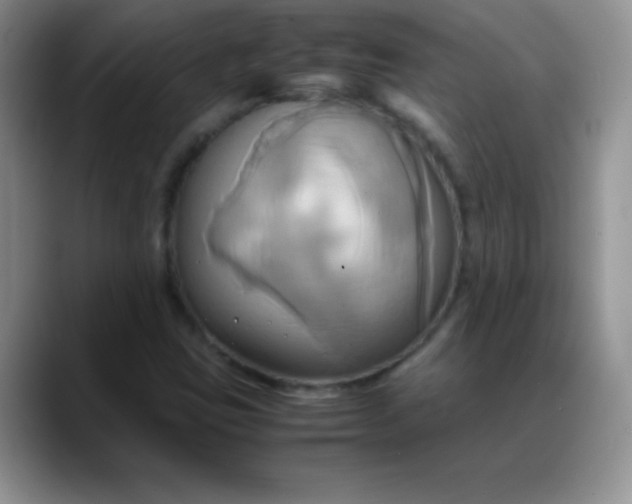 X0000088211403200705292043