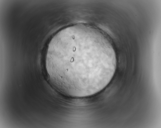 X0000088211404200705292043