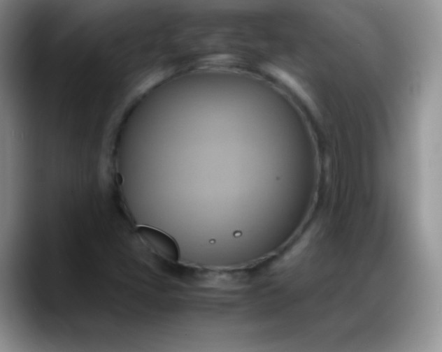X0000088211405200705292043