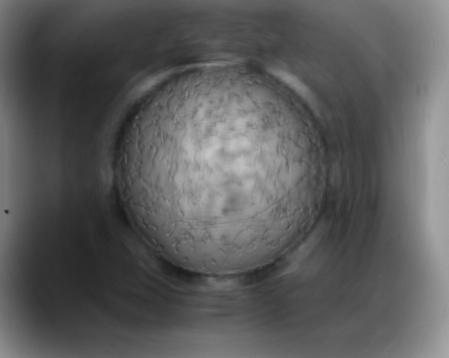 X0000088211407200705292043