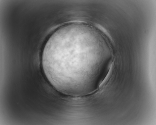 X0000088211408200705292043
