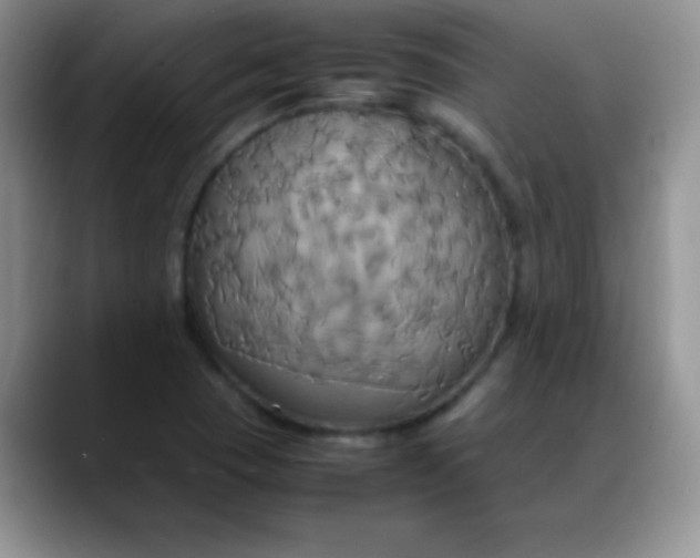 X0000088211409200705292043