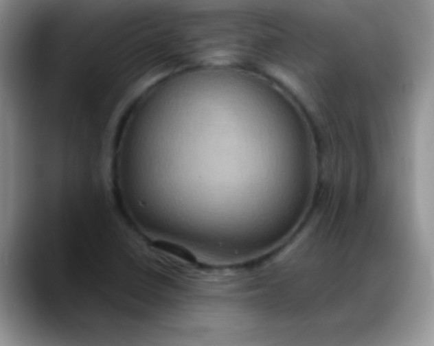 X0000088211410200705292043