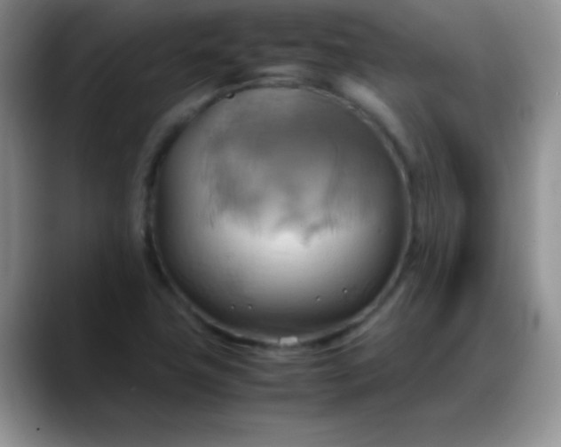 X0000088211411200705292043