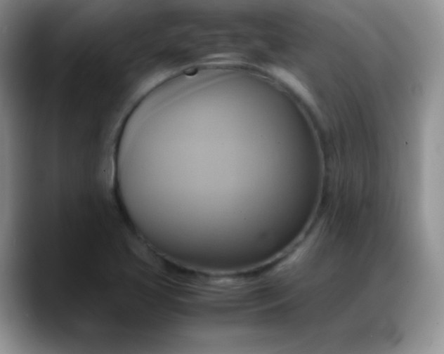 X0000088211413200705292043