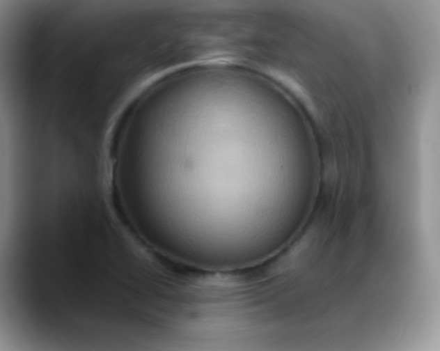 X0000088211414200705292043