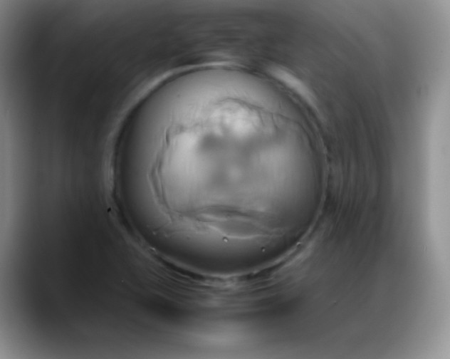 X0000088211415200705292043