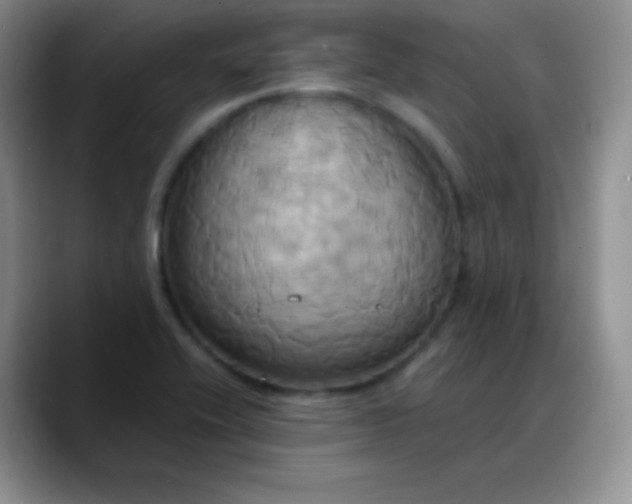 X0000088211416200705292043