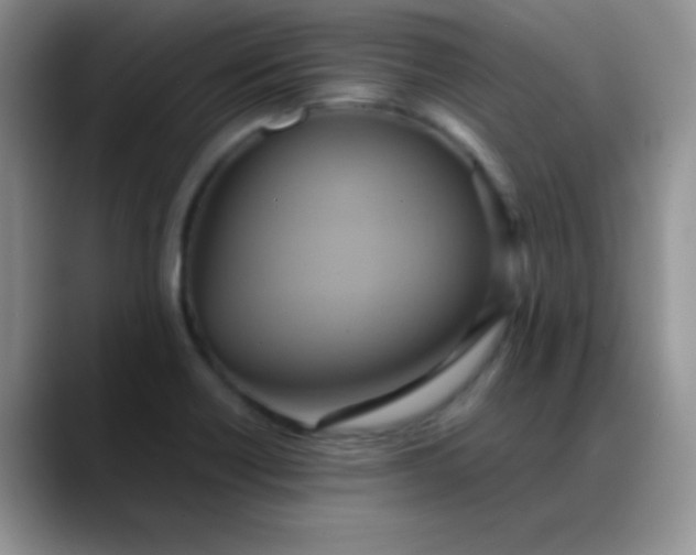 X0000088211418200705292043
