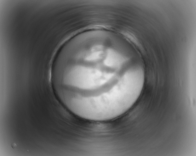 X0000088211420200705292043