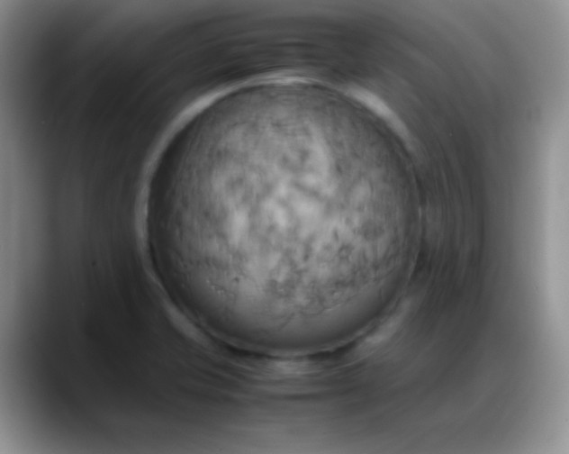 X0000088211421200705292043