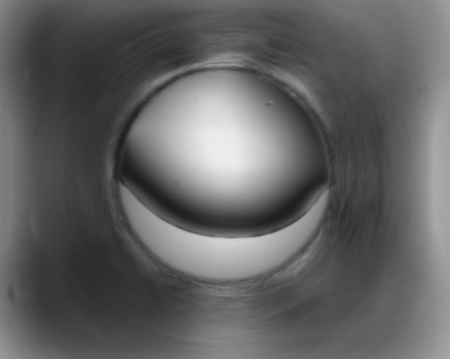 X0000088211422200705292043